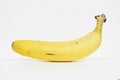 Single yellow banana curves slightly isolated on a white background for a minimalist fruit image Royalty Free Stock Photo