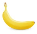Single yellow banana isolated on white Royalty Free Stock Photo