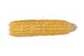 Single yellow cob of corn isolated at white Royalty Free Stock Photo