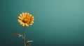 a single yellow flower on a green background Royalty Free Stock Photo