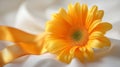 A single yellow gerbera daisy rests on white fabric with an orange ribbon Royalty Free Stock Photo
