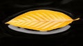 A single yellow leaf floating on a black surface. Royalty Free Stock Photo