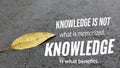 A single yellow leaf rests on a textured asphalt surface. The image features a quote in bold white text that reads Royalty Free Stock Photo