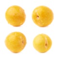 Single yellow mirabelle plum isolated Royalty Free Stock Photo