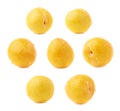 Single yellow mirabelle plum isolated Royalty Free Stock Photo