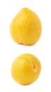 Single yellow mirabelle plum isolated Royalty Free Stock Photo