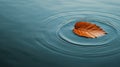 Single yellow-orange leaf floating on still water, creating subtle ripples. Royalty Free Stock Photo