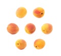 Single yellow plum isolated Royalty Free Stock Photo