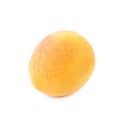 Single yellow plum isolated Royalty Free Stock Photo