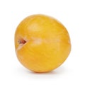 Single yellow plum Royalty Free Stock Photo