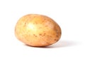 Single yellow potato