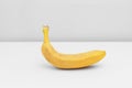 Single yellow ripe banana isolated on white background. Fiber fruits Royalty Free Stock Photo