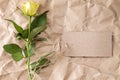 Single yellow rose with blank tag Royalty Free Stock Photo