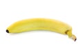 Single yellow spotless banana over white