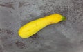 Single yellow summer squash on a gray background Royalty Free Stock Photo