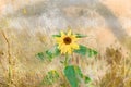 A single yellow sunflower flower among dry grasses. Tall oil pla Royalty Free Stock Photo