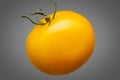 Single yellow tomato isolated on grey background Royalty Free Stock Photo