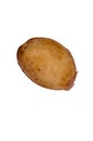 Single young potato isolated on white Royalty Free Stock Photo