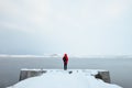 Single young woman standing by Arctic ocean