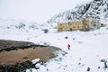 Single young woman exploring Arctic beach