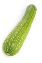Single zucchini Royalty Free Stock Photo