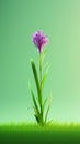 Singled out purple flower, with stem, leaves.