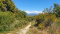 singletrack in provence Royalty Free Stock Photo