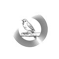 Sings and chirps bird, sits on circular and round branch, logo template. Animals and wildlife, design. Nature