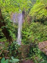 singsing benben waterfall in belimbing pupuan village