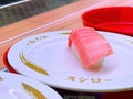 A singular Chutoro tuna sushi piece Royalty Free Stock Photo