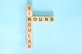 Singular nouns concept in English grammar education. Wooden block crossword puzzle flat lay in blue background. Royalty Free Stock Photo