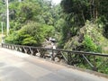 Sinharaja Rainforest waterfalls in Sri Lanka and deniyaya district.