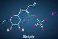 Sinigrin, allyl glucosinolate molecule. Glucosinolate from family of glucosides, found in plants of the family Brassicaceae.