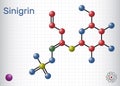 Sinigrin, allyl glucosinolate molecule. Glucosinolate from family of glucosides, found in plants of the family Brassicaceae.