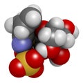 Sinigrin glucosinolate molecule. Present in some cruciferous vegetables (Brussels sprouts, broccoli, black mustard, etc). 3D