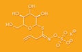 Sinigrin glucosinolate molecule. Present in some cruciferous vegetables (Brussels sprouts, broccoli, black mustard, etc). Skeletal