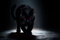 Sinister Black Cat Shadows Shadows of a sinister Royalty Free Stock Photo
