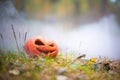 Sinister and evil halloween pumpkin in autumn forest in smoke or fog. Jack o lantern on the grass