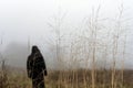 A sinister hooded figure standing in a field on a foggy day, out of focus in the background