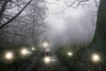 A sinister hooded figure standing on a forest track. on a foggy evening. Surrounded by glowing supernatural lights Royalty Free Stock Photo