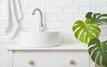 Sink on countertop in bathroom with plant and tile wall Royalty Free Stock Photo