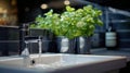 Sink Running Water With Potted Plant Background Royalty Free Stock Photo