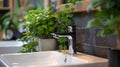 Sink Running Water With Potted Plant Background Royalty Free Stock Photo