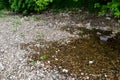 The sinking Danube water disappears into a karst water system of the well-stratified limestone formation.