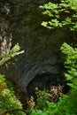Sinkhole in the forest
