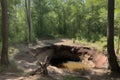 sinkhole in forest with trees and wildlife visible