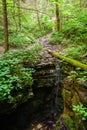 Sinkhole in Red River Gorge Royalty Free Stock Photo