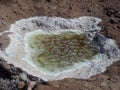 Sinkholes and salt crystallization. Israel Royalty Free Stock Photo