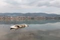 A sinking little boat on Trasimeno lake, Umbria, with Passignano town in the background Royalty Free Stock Photo