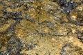 Sinter deposits colored by hot-water algae, Orakei Korako Cave